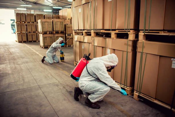 Best Ant Control Services  in Chula Vista, CA