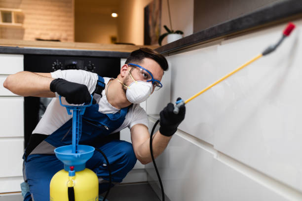 Best Best Pest Control Companies  in Chula Vista, CA