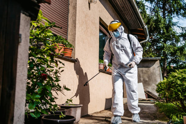 Best Pest Control for Businesses  in Chula Vista, CA