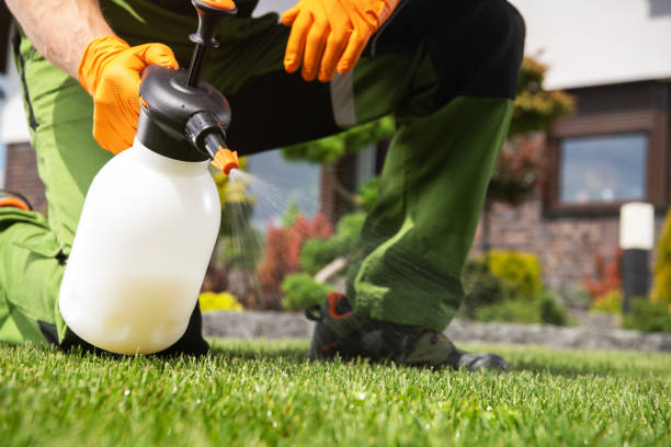 Best Residential Pest Control  in Chula Vista, CA
