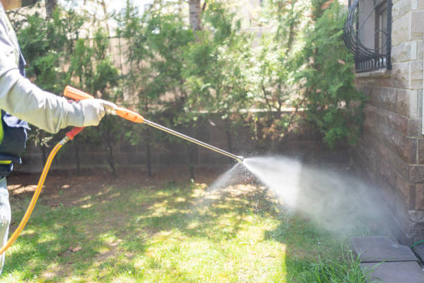 Trusted Chula Vista, CA Pest Control Experts