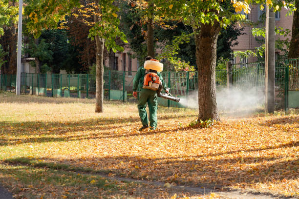 Best Pest Control Near Me  in Chula Vista, CA